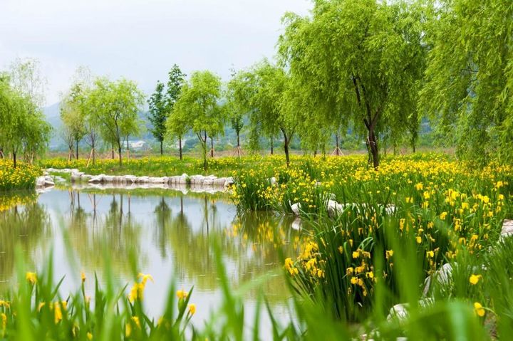 [강릉=뉴시스] 주문진 향호 창포원 조성사업 예시.(사진=강릉시 제공)photo@newsis.com *재판매 및 DB 금지