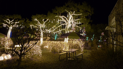 [서울=뉴시스] 강은정 기자=시몬스 테라스에서 열린 일루미네이션 행사. 2025.11.18. photo@newsis.com *재판매 및 DB 금지