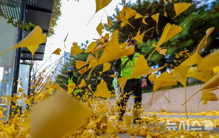 [대구=뉴시스] 이무열 기자 = 기온이 큰 폭으로 떨어지고 바람이 강하게 부는 17일 대구 달서구 월성동 가로수길에서 환경공무직들이 전동 송풍기를 이용해 낙엽을 청소하고 있다. 2025.11.17. lmy@newsis.com