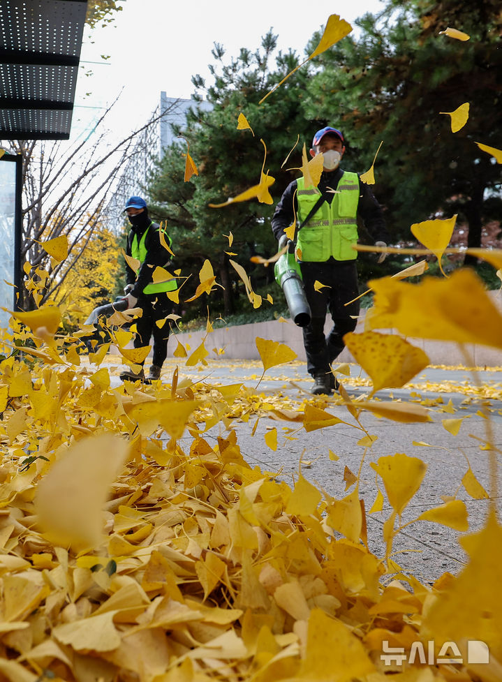 [대구=뉴시스] 이무열 기자 = 기온이 큰 폭으로 떨어지고 바람이 강하게 부는 17일 대구 달서구 월성동 가로수길에서 환경공무직들이 전동 송풍기를 이용해 낙엽을 청소하고 있다. 2025.11.17. lmy@newsis.com