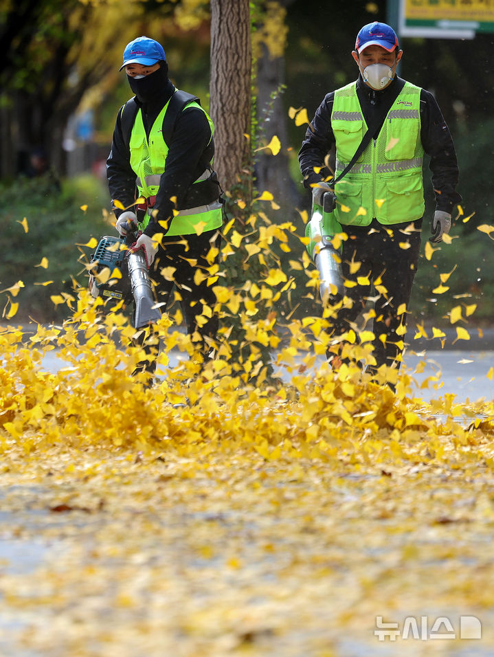 [대구=뉴시스] 이무열 기자 = 기온이 큰 폭으로 떨어지고 바람이 강하게 부는 17일 대구 달서구 월성동 가로수길에서 환경공무직들이 전동 송풍기를 이용해 낙엽을 청소하고 있다. 2025.11.17. lmy@newsis.com