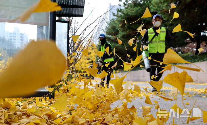 [대구=뉴시스] 이무열 기자 = 기온이 큰 폭으로 떨어지고 바람이 강하게 부는 17일 대구 달서구 월성동 가로수길에서 환경공무직들이 전동 송풍기를 이용해 낙엽을 청소하고 있다. 2025.11.17. lmy@newsis.com