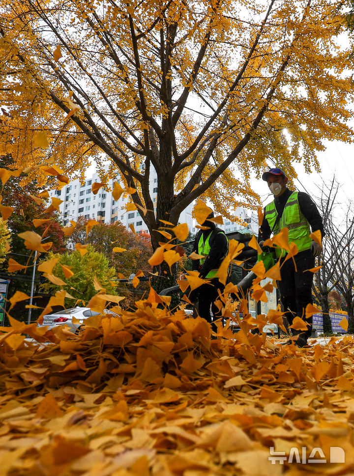 [대구=뉴시스] 이무열 기자 = 기온이 큰 폭으로 떨어지고 바람이 강하게 부는 17일 대구 달서구 월성동 가로수길에서 환경공무직들이 전동 송풍기를 이용해 낙엽을 청소하고 있다. 2025.11.17. lmy@newsis.com