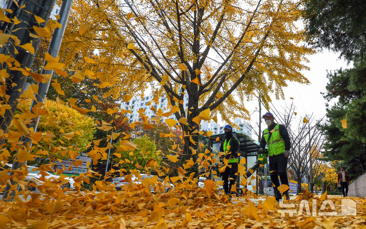 [대구=뉴시스] 이무열 기자 = 기온이 큰 폭으로 떨어지고 바람이 강하게 부는 17일 대구 달서구 월성동 가로수길에서 환경공무직들이 전동 송풍기를 이용해 낙엽을 청소하고 있다. 2025.11.17. lmy@newsis.com