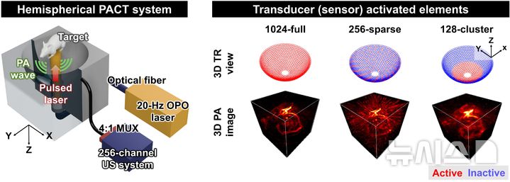 [포항=뉴시스] 송종욱 기자 = 포스텍 연구팀이 비싼 장비가 아니어도 실시간으로 몸속에 있는 장기와 종양의 변화를 3D로 관찰하는 새 기술을 개발했다. 사진은 광음향 컴퓨터 단층촬영(PACT) 시스템 개략도. (사진=포스텍 제공) 2025.11.18. photo@newsis.com