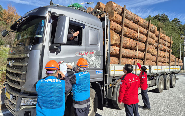 정선군의 가을철 소나무류 이동 특별단속 모습.(사진=정선군 제공) *재판매 및 DB 금지