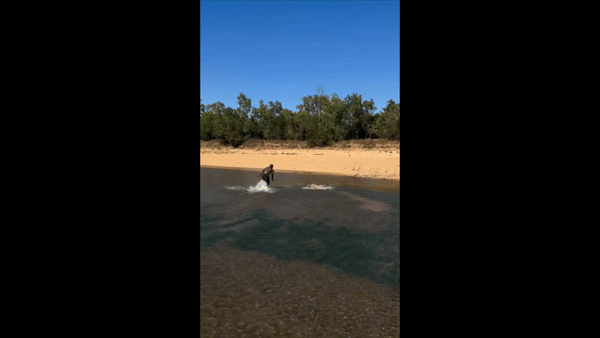[뉴시스]'더 리얼 타잔'으로 잘 알려진 미국의 유명 인플루언서 마이크 홀스턴이 지난 9월10일 호주 퀸즐랜드에서 악어와 몸싸움을 벌이는 장면을 촬영한 영상. (사진출처: SNS) 2025.11.18. *재판매 및 DB 금지