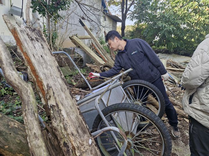 [영암=뉴시스]가을철 소나무류 단속. (사진=영암군 제공) 2025.11.18. photo@newsis.com *재판매 및 DB 금지