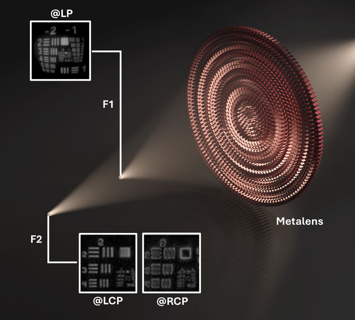 [서울=뉴시스] 다기능 메타렌즈 기반 메타 현미경 시스템 개요. (사진=성균관대 제공) 2025.11.18. photo@newsis.com *재판매 및 DB 금지