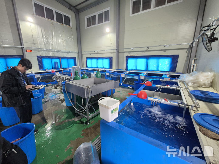 중부해양경찰청 제공