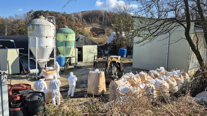 [영동=뉴시스] 지난 2025년 11월18일 고병원성 조류인플루엔자(AI) 바이러스로 의심되는 H5형 항원이 검출된 충북 영동군 용산면 종오리 농장에서 방역당국이 종오리 4000마리를 살처분하고 있다. (사진=뉴시스 DB). photo@newsis.com *재판매 및 DB 금지