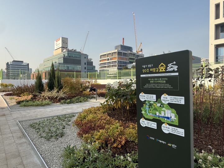 [서울=뉴시스] 성수동 바람길숲 모습. 2025.11.18. (사진=성동구 제공) *재판매 및 DB 금지