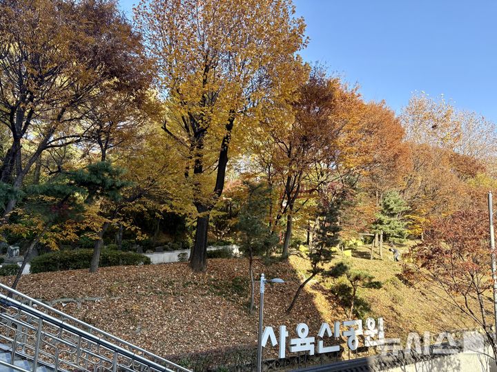 [서울=뉴시스] 한이재 기자 = 18일 오후 서울 동작구 사육신공원에 단풍이 보이고 있다. 2025.11.18. nowone@newsis.com