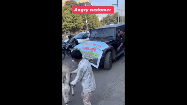 [뉴시스] 당나귀가 결함 차량을 끌고 가는 모습. (사진=X)2025.11.18. *재판매 및 DB 금지