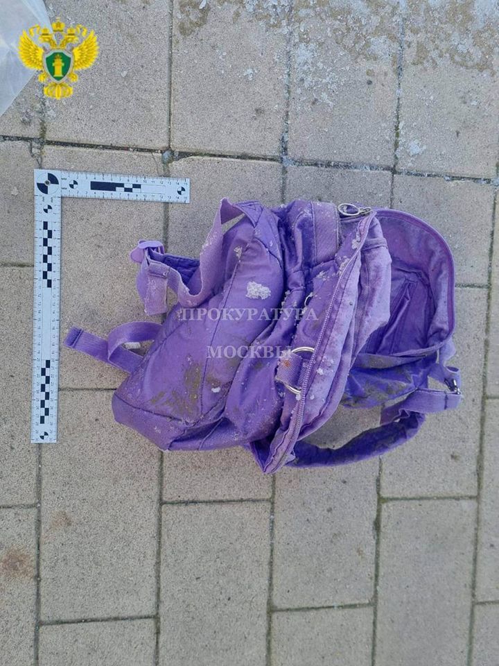 [뉴시스] 모스크바 북동부 골랴노프스키 연못에서 6세 소년의 머리가 든 채 발견된 배낭. (사진=모스크바 검찰청) 2025.11.18 *재판매 및 DB 금지