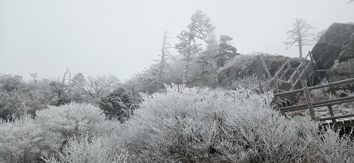[산청=뉴시스] 지리산국립공원 탐방로 (사진=국립공원 제공) 2025. 11. 18. photo@newsis.com *재판매 및 DB 금지