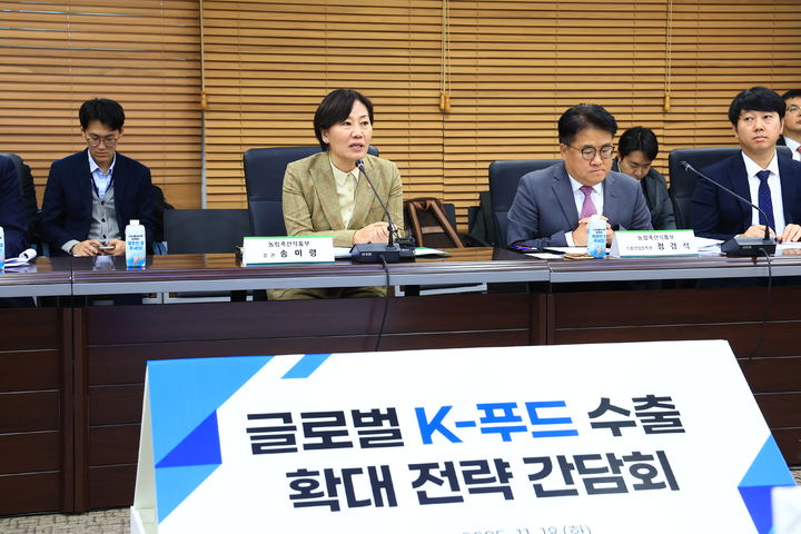 [서울=뉴시스] 송미령 농림축산식품부 장관이 18일 서울 aT 센터에서 진행된 글로벌 K-푸드 수출 확대 전략 간담회에서 발언하고 있다. (사진 = 농식품부 제공) 2025.11.18.