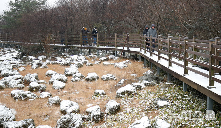 [제주=뉴시스] 우장호 기자 = 올 가을 들어 가장 추운 날씨를 보인 18일 오전 외국인 관광객들이 첫 눈이 쌓인 제주 한라산 1100고지 습지를 감상하고 있다. 2025.11.18. woo1223@newsis.com
