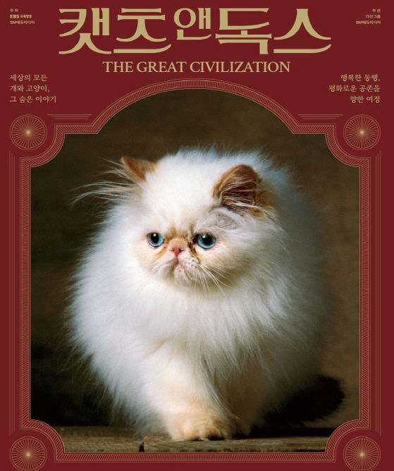 [서울=뉴시스] 캣츠 앤 독스 전시. 2025.11.19. (자료=서울시 제공) *재판매 및 DB 금지