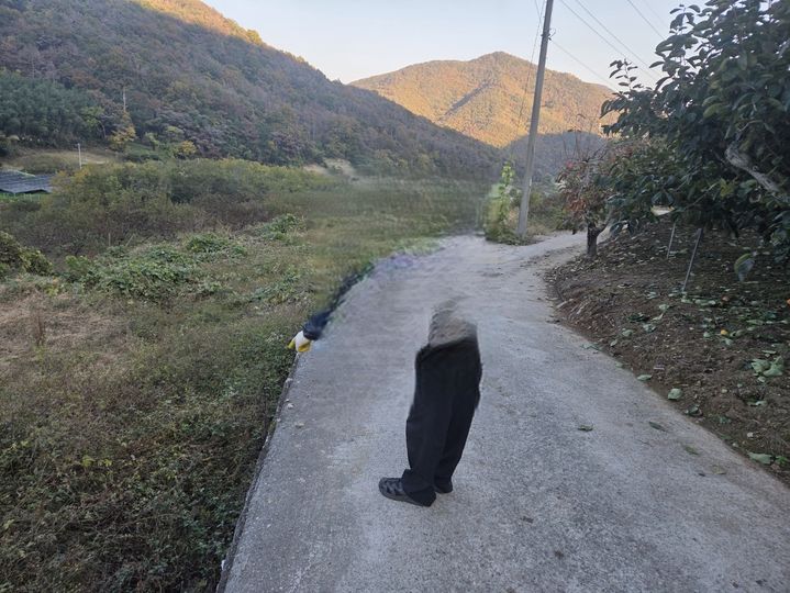 [밀양=뉴시스] 지난해 여름 경운기 전복 사고가 발생한 지점을 한 지역주민이 가리키고 있다. 이 사고로 농민이 큰 부상을 입었다. (사진= 독자 제공) 2025.11.19. photo@newsis.com *재판매 및 DB 금지