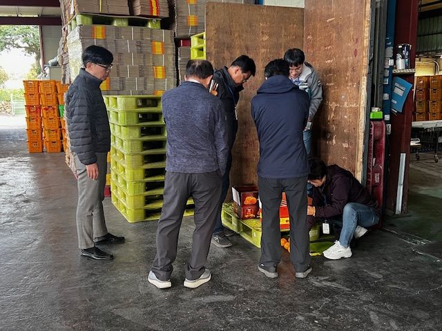 [서귀포=뉴시스] 18일 오전 서귀포시와 자치경찰단서귀포지역경찰대가 효돈동 소재 감귤 선과장에서 불시단속을 벌이고 있다. (사진=서귀포시 제공) 2025.11.19. photo@newsis.com *재판매 및 DB 금지