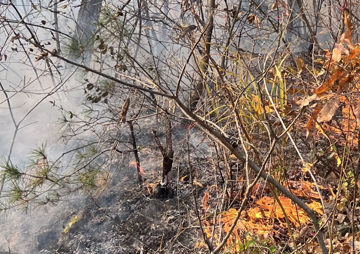  [의성=뉴시스] 의성군 구천면 장국리 산불 현장. (사진=의성군 제공) 2025.11.19. photo@newsis.com *재판매 및 DB 금지