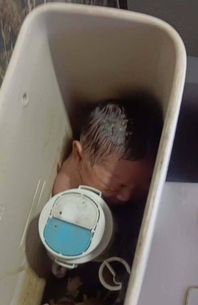 [뉴시스]태국 방콕의 한 변기 물탱크에서 갓 태어난 여자 아기가 발견됐다. (사진 = 데일리메일 캡처) *재판매 및 DB 금지