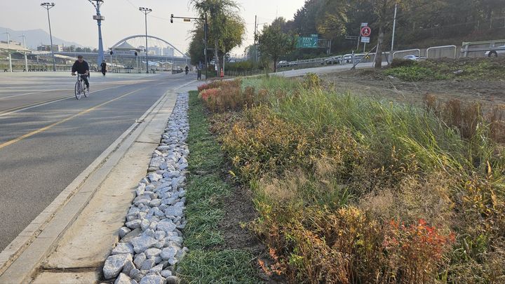 [서울=뉴시스] 중랑천 이화교 일대에 조성된 그라스원. 2025.11.19. (사진=동대문구 제공) *재판매 및 DB 금지