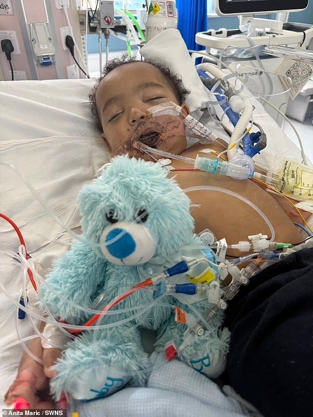 [뉴시스] 샘 안와르 알샤메리. (사진=SWNS) 2025.11.19 *재판매 및 DB 금지