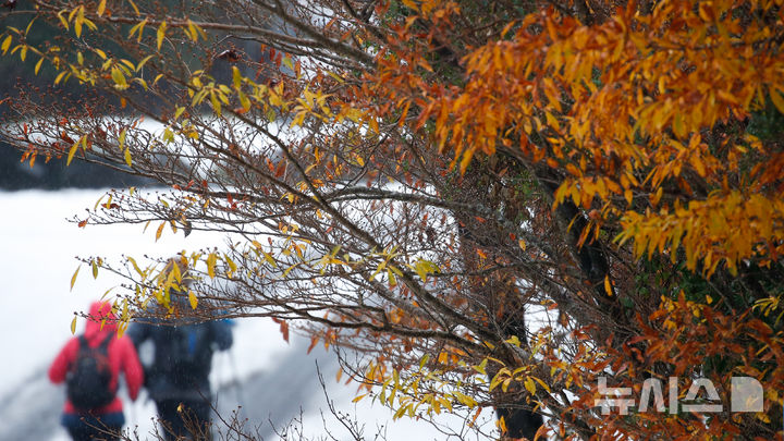 [제주=뉴시스] 우장호 기자 = 제주 한라산 어리목 탐방에 등반객들이 눈 쌓인 도로를 걸어가고 있다. 2025.11.19. woo1223@newsis.com