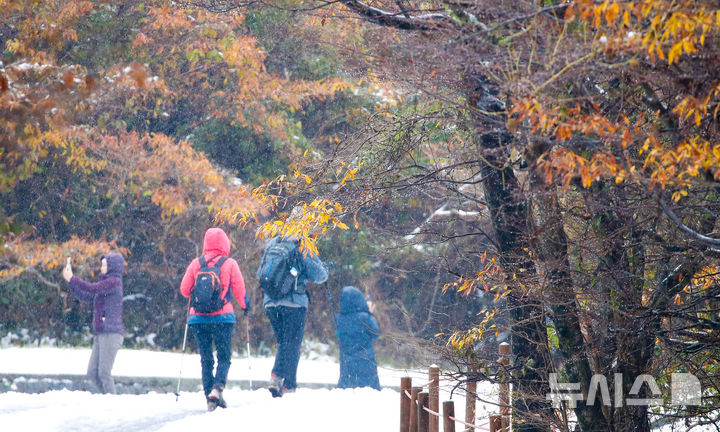 [제주=뉴시스] 우장호 기자 = 추운 날씨를 보인 19일 오전 제주 한라산 어리목 탐방에 등반객들이 눈 쌓인 도로를 걸어가고 있다. 2025.11.19. woo1223@newsis.com