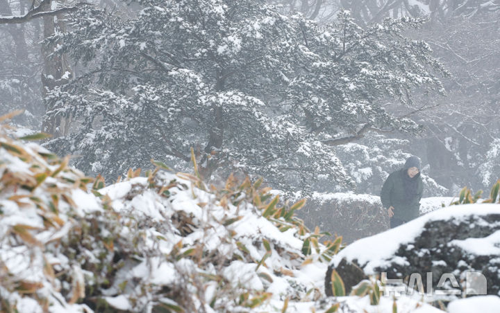[제주=뉴시스] 우장호 기자 = 추운 날씨를 보인 19일 오전 제주 한라산 1100고지 휴게소를 찾은 관광객들이 아직 이른 겨울 정취를 만끽하고 있다. 2025.11.19. woo1223@newsis.com