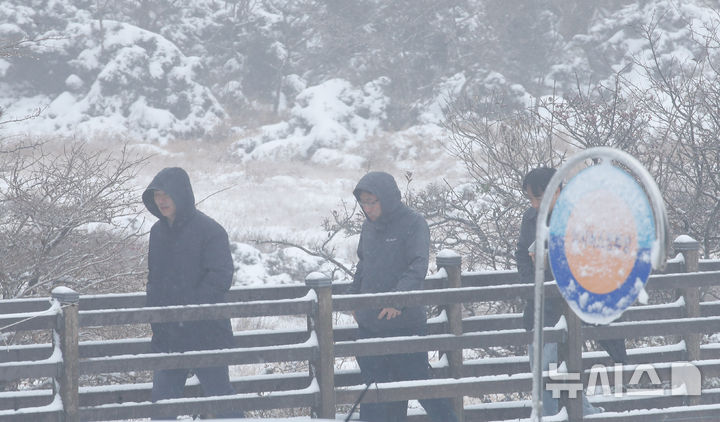 [제주=뉴시스] 우장호 기자 = 추운 날씨를 보인 19일 오전 제주 한라산 1100고지 휴게소를 찾은 관광객들이 아직 이른 겨울 정취를 만끽하고 있다. 2025.11.19. woo1223@newsis.com