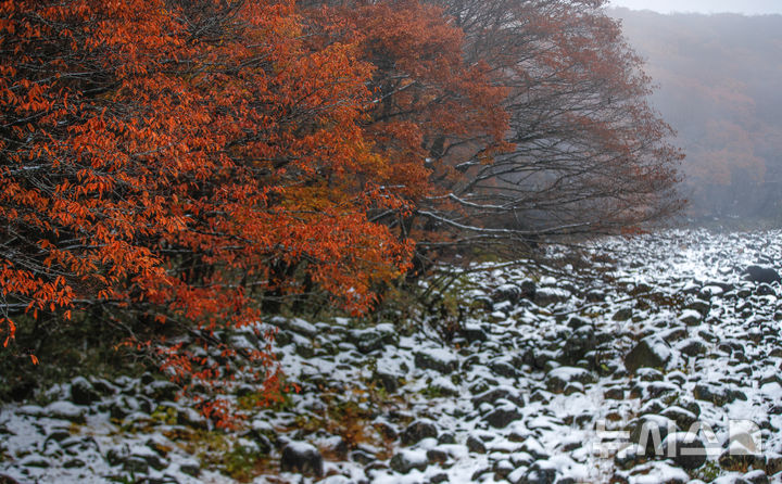 [제주=뉴시스] 우장호 기자 = 추운 날씨를 보인 19일 오전 제주 한라산 계곡이 빨간 단풍과 흰눈이 대비를 이루며 이색 정취를 자아내고 있다. 2025.11.19. woo1223@newsis.com