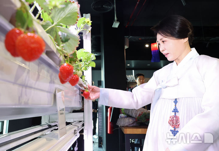 [아부다비=뉴시스] 최동준 기자 = 김혜경 여사가 19일(현지 시간) 아부다비 주UAE한국문화원에서 열린 할랄 K-푸드 홍보행사에서 스마트팜 장비로 재배한 딸기를 살펴보고 있다. 2025.11.19. photocdj@newsis.com