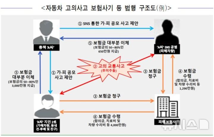 [서울=뉴시스] 20일 서울경찰청 광역수사단 형사기동대가 검거했다고 밝힌 보험사기 총책 등 가담자들의 범행 구조도 예시가 보이고 있다. (사진=서울경찰청 광역수사단 형사기동대 제공) 2025.11.20. photo@newsis.com