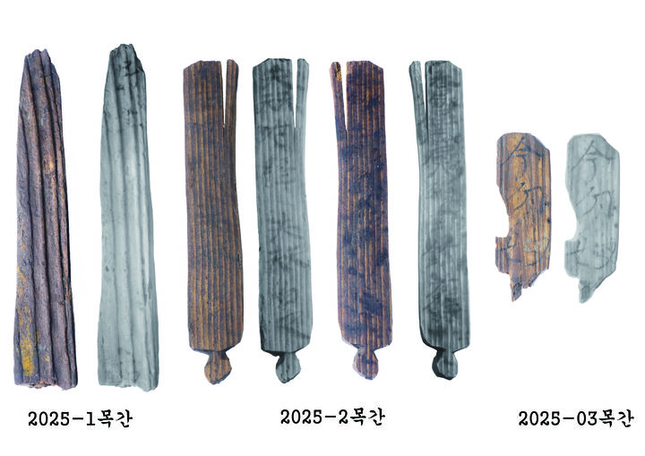 [서울=뉴시스] 양주 대모산성 15차 발굴조사에서 나온 목간들 (사진=양주시 제공) 2025.11.20. photo@newsis.com *재판매 및 DB 금지