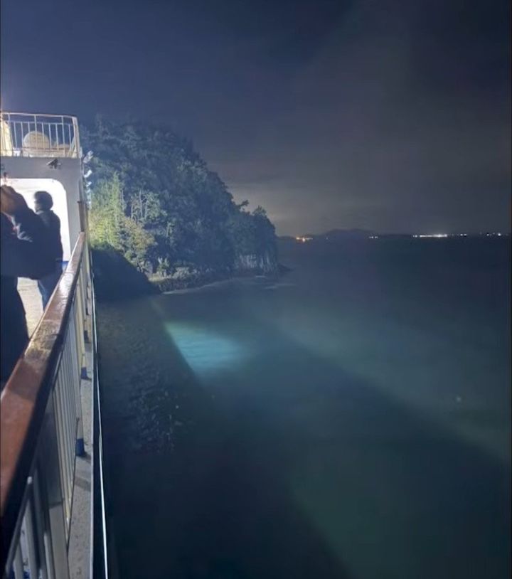 [뉴시스]전남 신안군 해상 무인도에 부딪힌 여객선. (사진 = 에펨코리아 캡처) *재판매 및 DB 금지