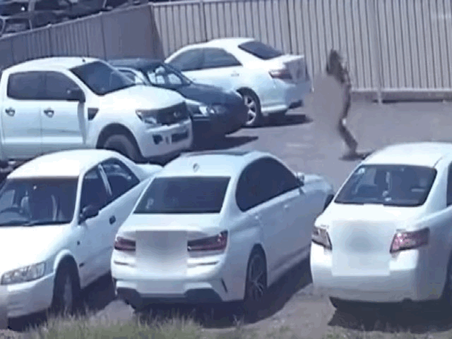 대낮에 차량을 훔친 남성이 뒷좌석에서 잠든 15개월 아기를 발견하자, 그대로 주차장 한쪽 골판지 박스에 내려놓고 달아나는 충격적인 사건이 발생해 화제다.2025.11.20.(사진=데일리메일 캡처) *재판매 및 DB 금지 *재판매 및 DB 금지