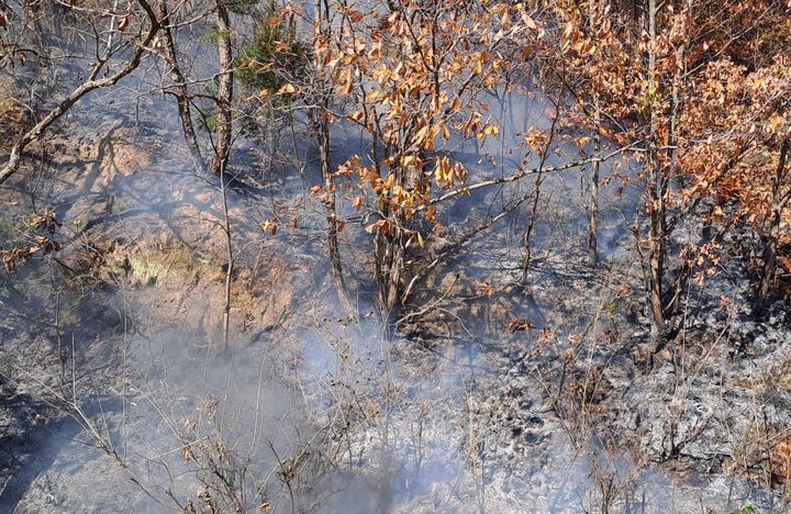  [의성=뉴시스] 의성군 구천면 장국리 산불 현장 (사진=산림청 제공) 2025.11.20. photo@newsis.com *재판매 및 DB 금지