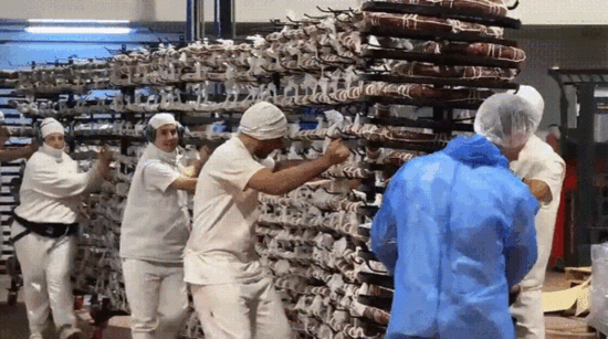 [뉴시스]세계에서 가장 긴 살라미 소시지의 모습이다. (영상 = MDZOL 갈무리) *재판매 및 DB 금지