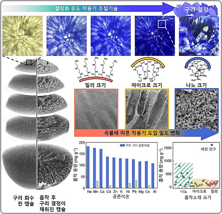 [대전=뉴시스] 한국과학기술연구원이 산업폐수에서 구리를 효과적으로 회수할 수 있는 흡착제를 개발했다. 연구 모식도.(사진=한국과학기술연구원 제공) *재판매 및 DB 금지