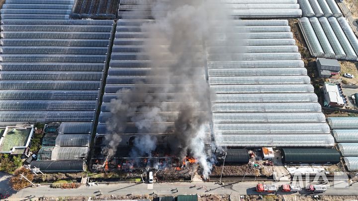 [김해=뉴시스]김해 비닐하우스 불. (사진=소방서 제공). 2025.11.20. photo@newsis.com