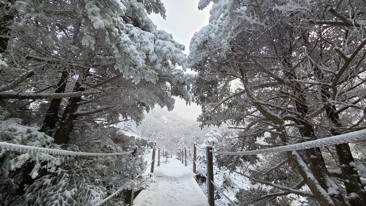 [제주=뉴시스] 우장호 기자 = 초겨울 추위가 이어진 20일 오전 제주 한라산 정상부 탐방로에 많은 눈이 쌓여 아름다운 광경을 연출하고 있다. (사진=독자 김경미씨 제공) 2025.11.20. photo@newsis.com *재판매 및 DB 금지