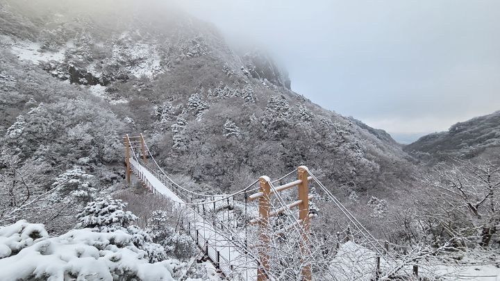 [제주=뉴시스] 우장호 기자 = 초겨울 추위가 이어진 20일 오전 제주 한라산 정상부 탐방로에 많은 눈이 쌓여 아름다운 광경을 연출하고 있다. (사진=독자 김경미씨 제공) 2025.11.20. photo@newsis.com *재판매 및 DB 금지