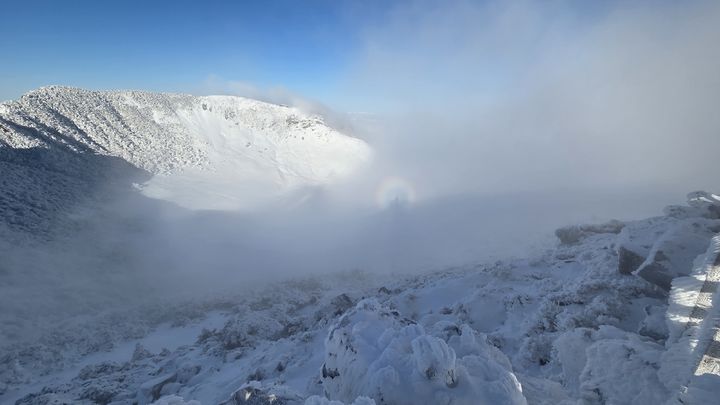 [제주=뉴시스] 우장호 기자 = 초겨울 추위가 이어진 20일 오전 한라산 백록담 정상 부근에서 고리형 무지개에 사람 그림자가 보이는 브로켄(Brocken) 현상이 나타나 시선을 끌고 있다. 브로켄은 태양을 등지고 섰을 때 사람이나 사물의 그림자 주변에 무지개 띠 같은 형상이 나타나는 대기광학 현상이다. 독일의 브로켄 산에서 처음 발견돼 이름이 붙여졌다. 과거에는 요괴나 귀신으로 착각했으나 최근에는 행운의 상징으로 여긴다. (사진=독자 김경미씨 제공) 2025.11.20. photo@newsis.com *재판매 및 DB 금지