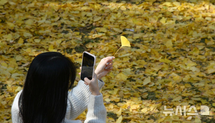 인천 아침·저녁 쌀쌀, 한낮 온화…당분간 대기 건조