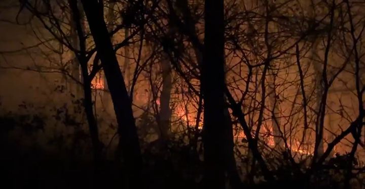 [태안=뉴시스] 지난 20일 오후 6시23분께 충남 태안군 소원면 의항리 산18일원에서 산불이 나 나무 사이로 불길이 번지고 있다. (사진=산림청 제공) 2025.11.21. photo@newsis.com *재판매 및 DB 금지