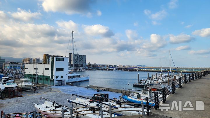 [제주=뉴시스] 27~30일 '2025 제1회 제주컵 국제요트대회'가 열리는 제주시 도두항 전경. (사진=제주도 제공) 2025.11.21. photo@newsis.com