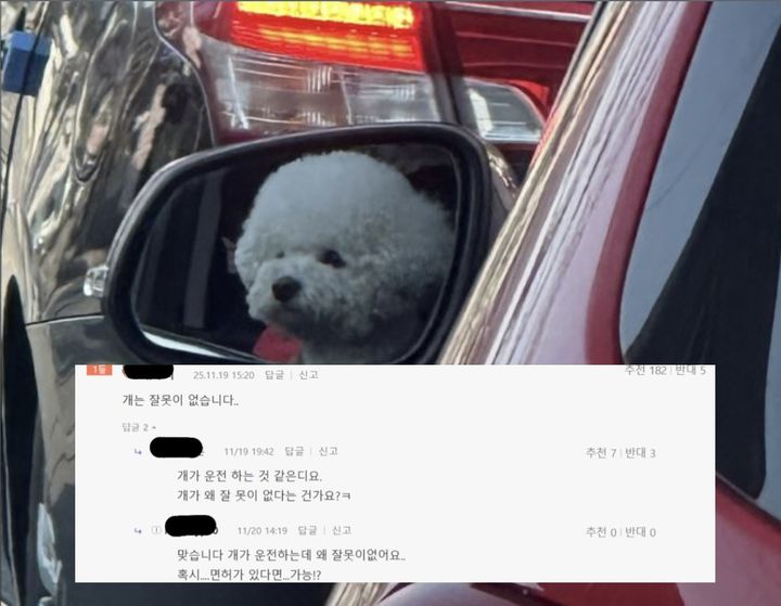 한 운전자가 승용차 운전석에 반려견을 무릎 위에 올리고 주행하는 모습이 목격돼 안전 논란이 일고 있다.2025.11.21(사진=보배드림 캡처) *재판매 및 DB 금지